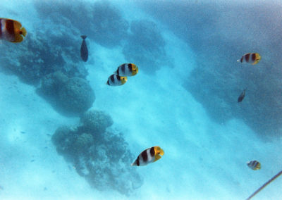 Foto Fiji 2